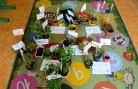 /album/duben-jaro-ve-tride/jaro-ve-tride-3-jpg/